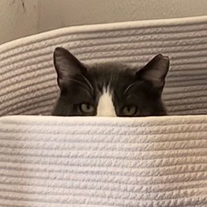 Meet your Posher, Blake